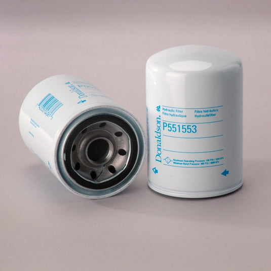 P551553 1" SERVICE STN FILTER 17 MICRON EA